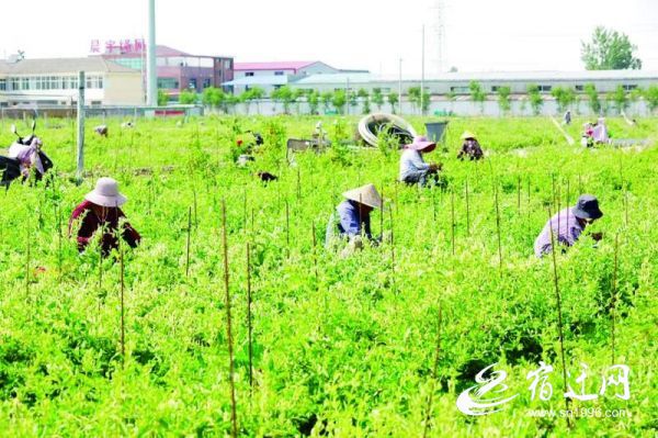 The advantages of publishing a