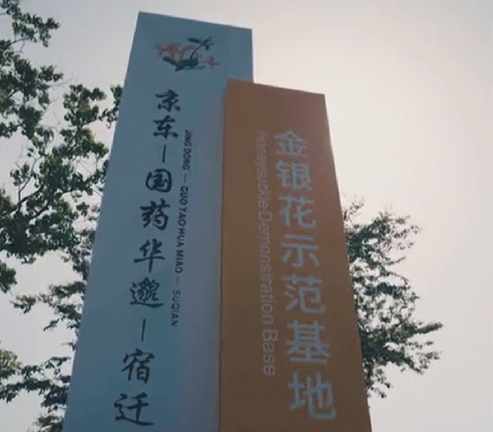 The advantages of publishing a