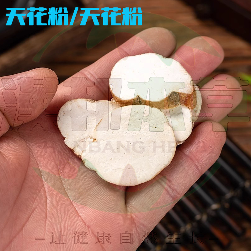 天花粉/tianhuafen-清熱瀉火藥